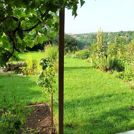 Ubytovani Vinohrady 73 Znojmo Luaran gambar