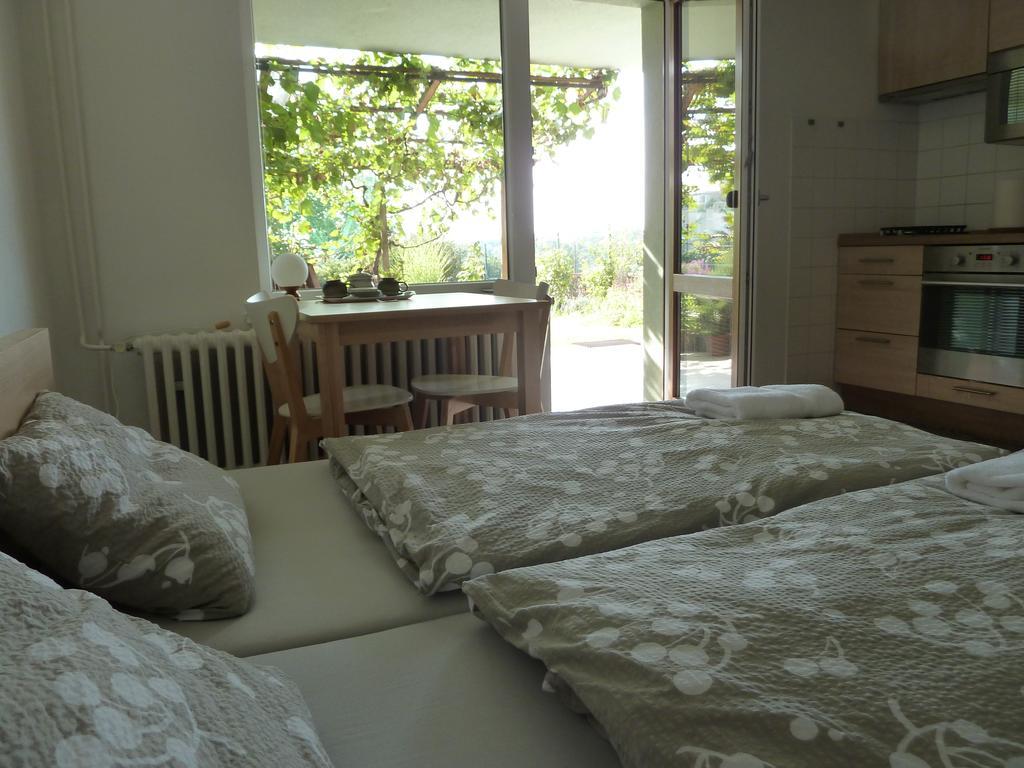 Ubytovani Vinohrady 73 Znojmo Luaran gambar